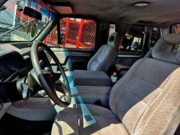 FORD - F-1000 - 1994/1994 - Vinho - R$ 73.000,00