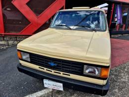 CHEVROLET - D20 - 1988/1989 - Bege - R$ 99.000,00